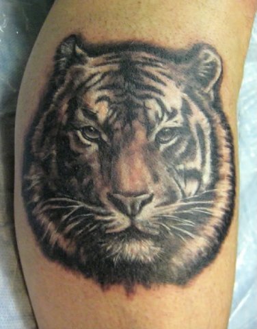 Фото и  значения татуировки Тигр. X_775d5f47